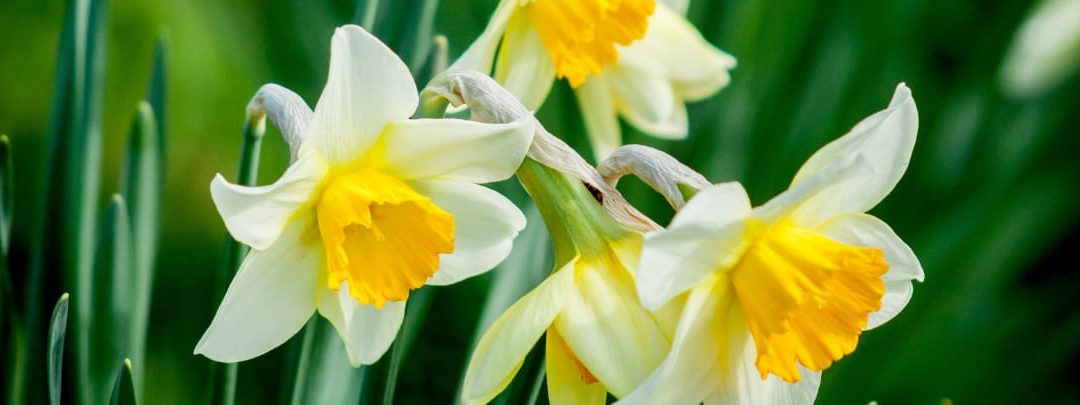 HUK Newsletter April 2022