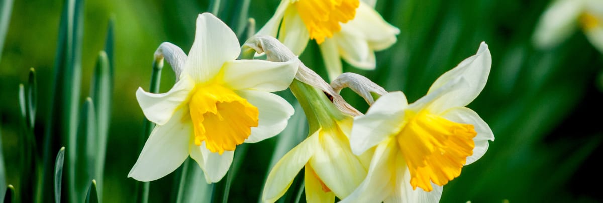 Huk April Newsletter HUK April Newsletter